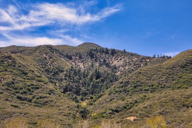 Ojai yakınlarındaki 33. otoyol