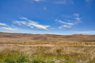 Ojai yakınlarındaki 33. otoyol