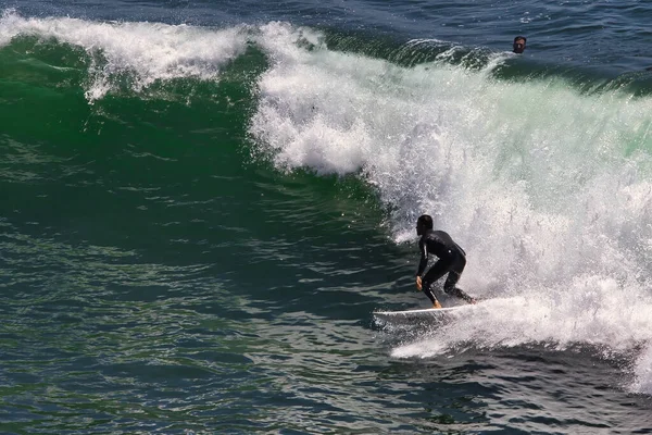 Big Dume California 'da Büyük Yaz Dalgaları sörfü