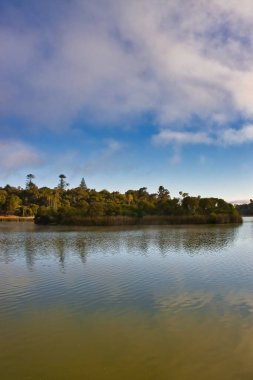 Santa Barbra California 'daki Andree Clrak kuş barınağında kuş gözlemi