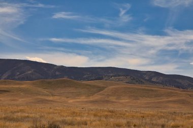 Carrizo Ovası Ulusal Anıtı 'nı keşfediyor.