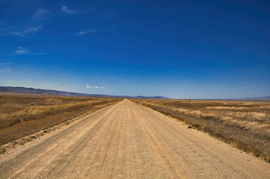 Carrizo Ovası Ulusal Anıtı 'nı keşfediyor.