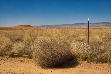 Carrizo Ovası Ulusal Anıtı 'nı keşfediyor.