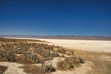Carrizo Ovası Ulusal Anıtı 'nı keşfediyor.