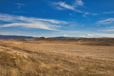 Carrizo Ovası Ulusal Anıtı 'nı keşfediyor.