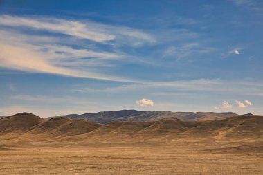 Carrizo Ovası Ulusal Anıtı 'nı keşfediyor.