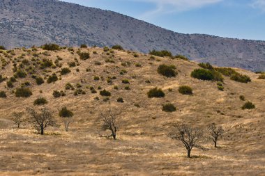 Carrizo Ovası Ulusal Anıtı 'nı keşfediyor.
