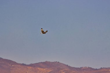 Carrizo Ovası Ulusal Anıtı 'nı keşfediyor.