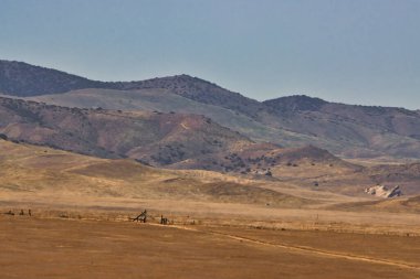 Carrizo Ovası Ulusal Anıtı 'nı keşfediyor.