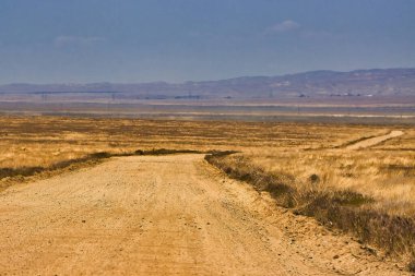 Carrizo Ovası Ulusal Anıtı 'nı keşfediyor.