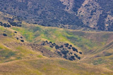 Carrizo Ovası Ulusal Anıtı 'nı keşfediyor.