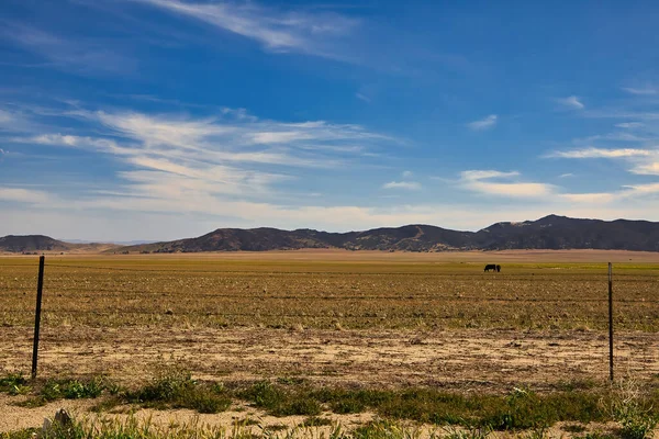 カリゾ平原国立記念碑の探索 — ストック写真