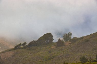 Sisli bir günde Big Sur 'da Sand Dollar Plajı' nda yürüyüş ve sörf.