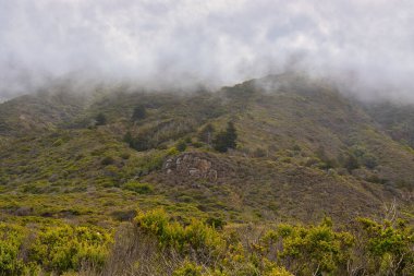Sisli bir günde Big Sur 'da Sand Dollar Plajı' nda yürüyüş ve sörf.