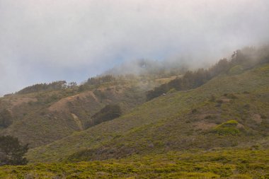 Sisli bir günde Big Sur 'da Sand Dollar Plajı' nda yürüyüş ve sörf.