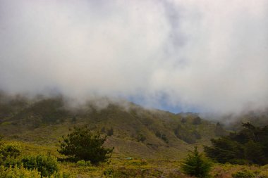 Sisli bir günde Big Sur 'da Sand Dollar Plajı' nda yürüyüş ve sörf.