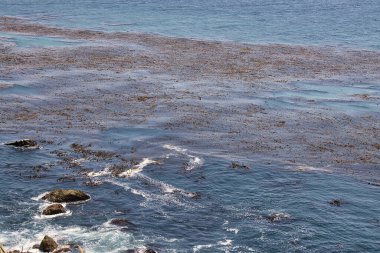 Sisli bir günde Big Sur 'da Sand Dollar Plajı' nda yürüyüş ve sörf.