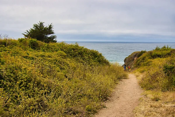 Turistika Surfování Písečné Pláži Big Sur Mlhavého Dne — Stock fotografie