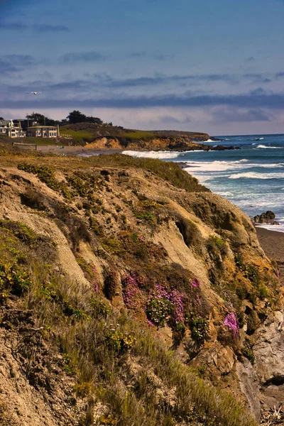 Exploring Coastline Moonstone Beach Cambria California — Photo