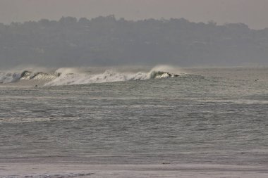 Leo Carrillo Eyalet Plajı 'nda büyük yaz dalgalarında sörf yapmak