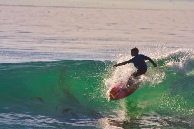 Rincon Klasik Sörf Yarışması 'nda sörf Rincon California 01-18-2014