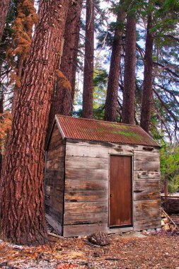 Sonbaharda Mamut dağında yürüyüş.