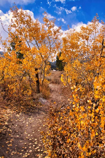 Caminhadas Montanha Mamute Outono — Fotografia de Stock