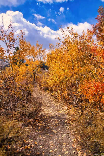 Caminhadas Montanha Mamute Outono — Fotografia de Stock