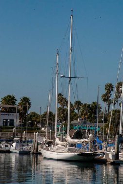 Santa Barbara Limanında tekne gezisi