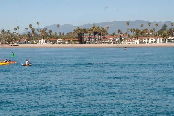 Ballena Bebé Santa Barbara Harbor — Foto de Stock