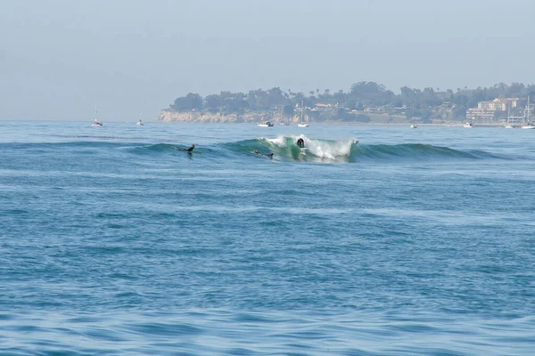 Surfing Boating Hammonds Beach Santa Barbara — Stock Photo, Image