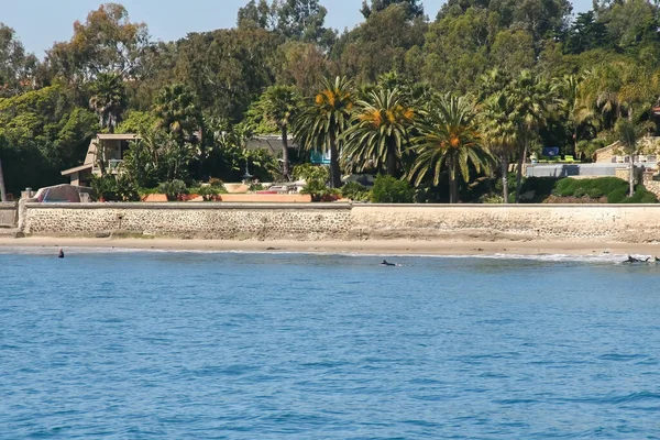 Surf Paseos Bote Frente Playa Hammonds Santa Barbara — Foto de Stock