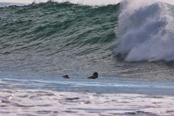 Surfen Rincon Punt Californië 2021 — Stockfoto