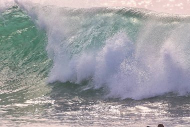 Kaliforniya 'nın Rincon noktasında kış dalgalarında sörf yapmak 01-23-2021