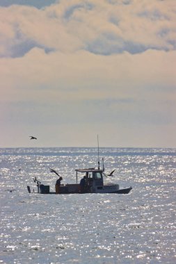 Kaliforniya 'nın Rincon noktasında kış dalgalarında sörf yapmak 01-23-2021