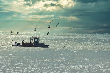 Kaliforniya 'nın Rincon noktasında kış dalgalarında sörf yapmak 01-23-2021