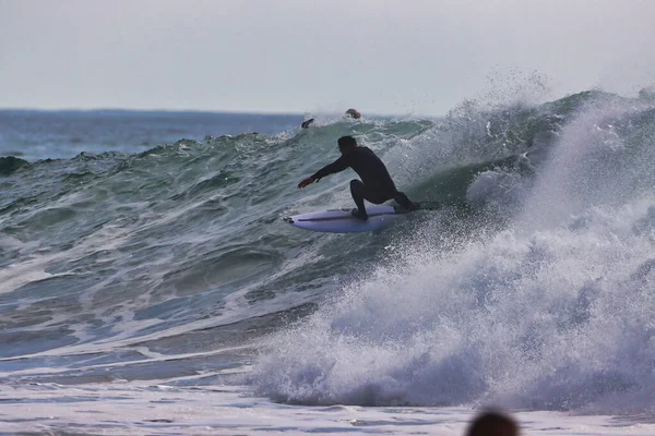 Surfing Rincon Point Kalifornii 2021 — Stock fotografie