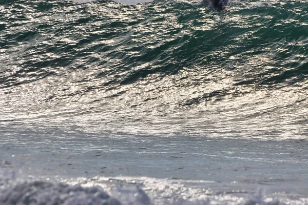 Surfer Sur Les Vagues Hivernales Rincon Point Californie 2021 — Photo