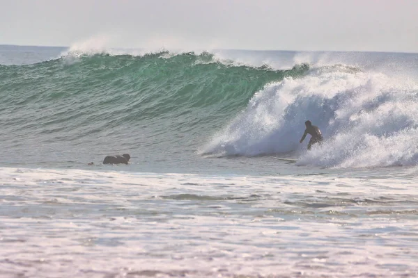 Surfing Winter Waves Rincon Point California 2021 — Stock Photo, Image