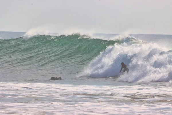 Surfing Vintervågor Vid Rincon Punkt Kalifornien 2021 — Stockfoto