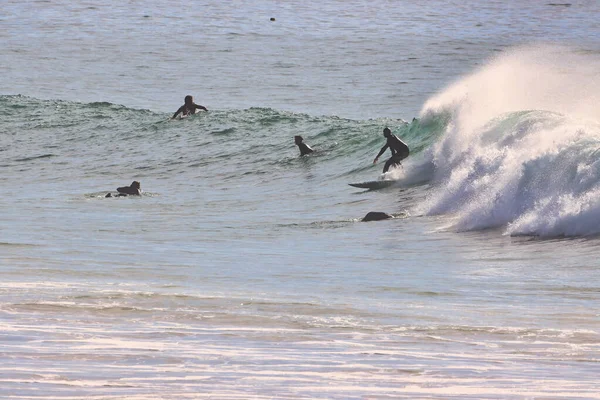 Surfeando Olas Invierno Punto Rincón California 2021 —  Fotos de Stock