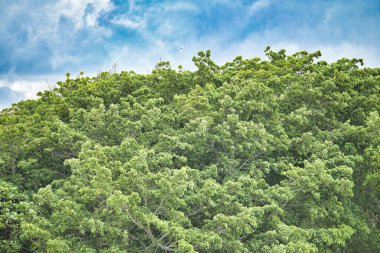 Punta Mita Meksika 'da yaz tatili