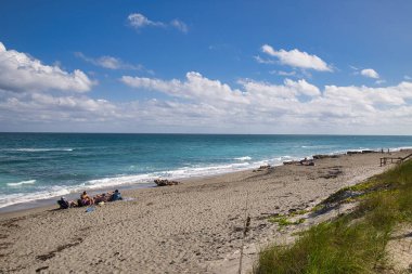 Jüpiter Floria 'daki Mercan Koyu Parkı' nda okyanus manzarası