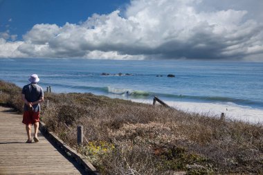 Big Sur Sahili 'nde sörfçüleri ve sörfçüleri izlemek