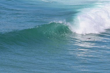 Big Sur Sahili 'nde sörfçüleri ve sörfçüleri izlemek