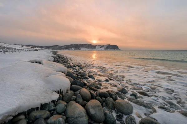 Steinige Winterküste — Stockfoto
