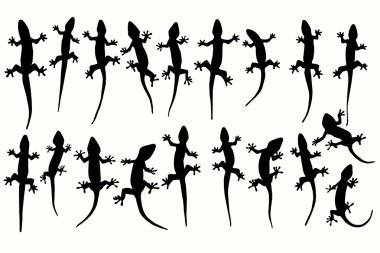 Vector silhouettes of lizards, geckos. clipart