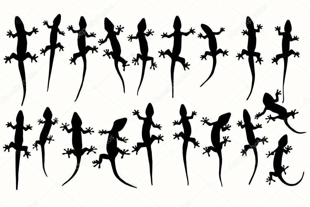 Vector silhouettes of lizards, geckos.