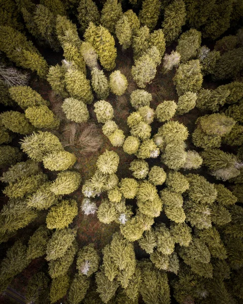 Fantastiska Våren Antenn Landskap Skott — Stockfoto