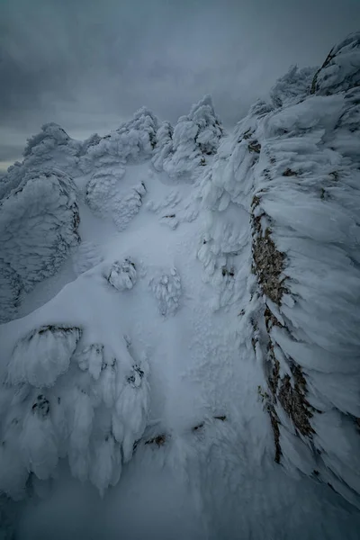 Amazing Winter Landscape Snow — Stock Photo, Image